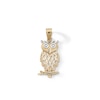 Thumbnail Image 1 of Diamond-Cut Owl Charm in 10K Solid Two-Toned Gold