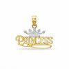 Thumbnail Image 0 of Princess Crown Charm in 10K Two-Tone Gold