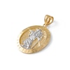 Thumbnail Image 2 of Saint Christopher Medallion Necklace Charm in 10K Two-Tone Gold