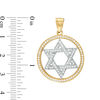 Thumbnail Image 1 of Cubic Zirconia Star of David Necklace Charm in 10K Two-Tone Gold