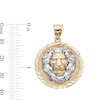 Thumbnail Image 4 of Multi-Finish Lions Head Medallion Necklace Charm in 10K Solid Two-Tone Gold