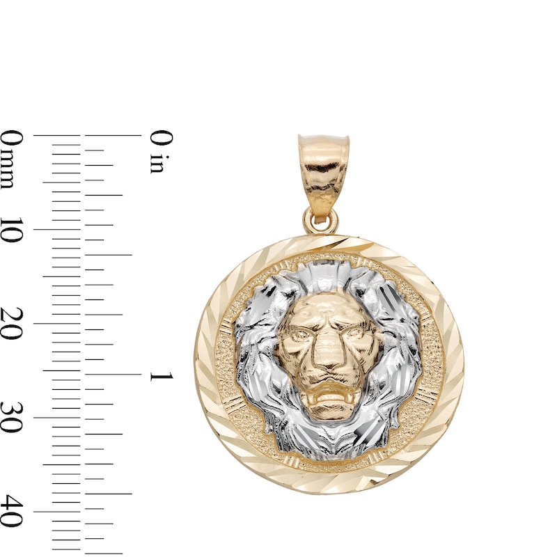 Main Image 4 of Multi-Finish Lions Head Medallion Necklace Charm in 10K Solid Two-Tone Gold