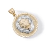 Thumbnail Image 4 of Multi-Finish Lions Head Medallion Necklace Charm in 10K Solid Two-Tone Gold