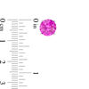 Thumbnail Image 1 of 8mm Pink Cubic Zirconia Solitaire Stud Earrings in Sterling Silver