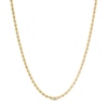 Thumbnail Image 1 of 1.6mm Rope Chain Necklace in 10K Semi-Solid Gold - 22&quot;