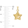 Thumbnail Image 1 of Puff Star Necklace Charm in 10K Stamp Hollow Gold