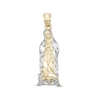 Thumbnail Image 1 of Small Our Lady of Guadalupe Two-Tone Necklace Charm in 10K Gold