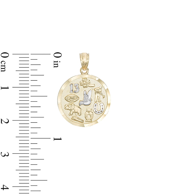 Main Image 3 of Small Luck Symbol Medallion Two-Tone Necklace Charm in 10K Gold