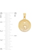 Thumbnail Image 2 of Semicolon Medallion Necklace Charm in 10K Solid Gold