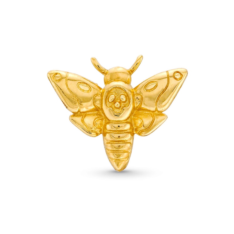 Main Image 1 of ​​​​​​​14K Solid Gold Death Moth Stud - 18G 5/16&quot;