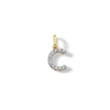 Thumbnail Image 0 of 10K Solid Gold CZ C Initial Charm