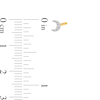 Thumbnail Image 4 of 14K Plated Gold Diamond Accent Moon and Sun Mismatch Studs