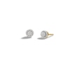 Thumbnail Image 1 of 14K Gold Plated 1/5 CT. T.W. Diamond Small Circle Studs