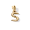 Thumbnail Image 1 of ​​​​​​​10K Hollow Gold S Necklace Charm