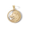 Thumbnail Image 1 of 10K Solid Gold Lion Head Necklace Charm