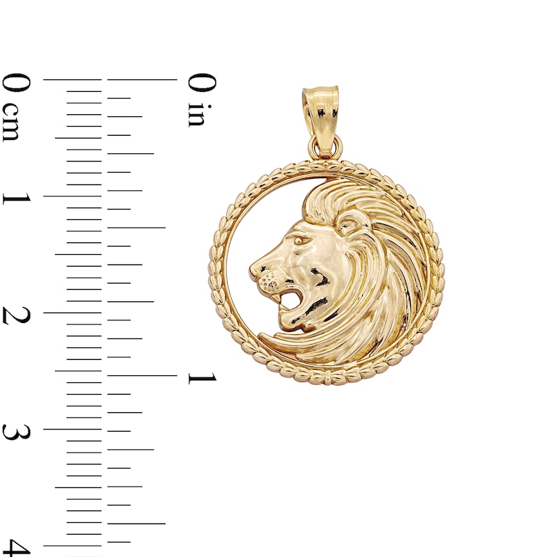 Main Image 4 of 10K Solid Gold Lion Head Necklace Charm