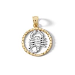 ​​​​​​​10K Solid Gold Scorpion Medallion Two-Tone Necklace Charm