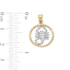 Thumbnail Image 4 of ​​​​​​​10K Solid Gold Scorpion Medallion Two-Tone Necklace Charm