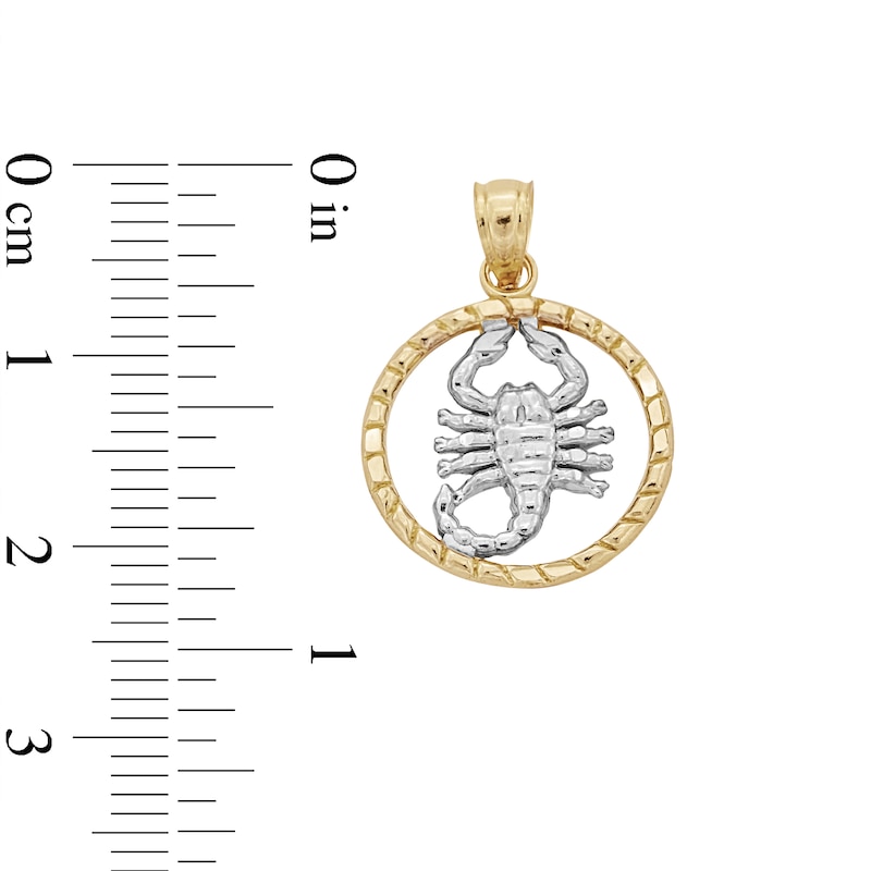 Main Image 4 of ​​​​​​​10K Solid Gold Scorpion Medallion Two-Tone Necklace Charm