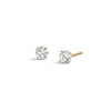 Thumbnail Image 0 of 10K Gold CZ Basket Studs