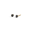 Thumbnail Image 0 of 14K Gold CZ Black Martini Studs