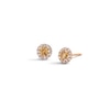 Thumbnail Image 0 of 14K Rose Gold CZ Champagne Halo Studs