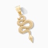 Thumbnail Image 1 of 10K Gold Texture Snake Necklace Charm