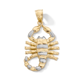 10K Gold Diamond-Cut Scorpion Two-Tone Necklace Charm